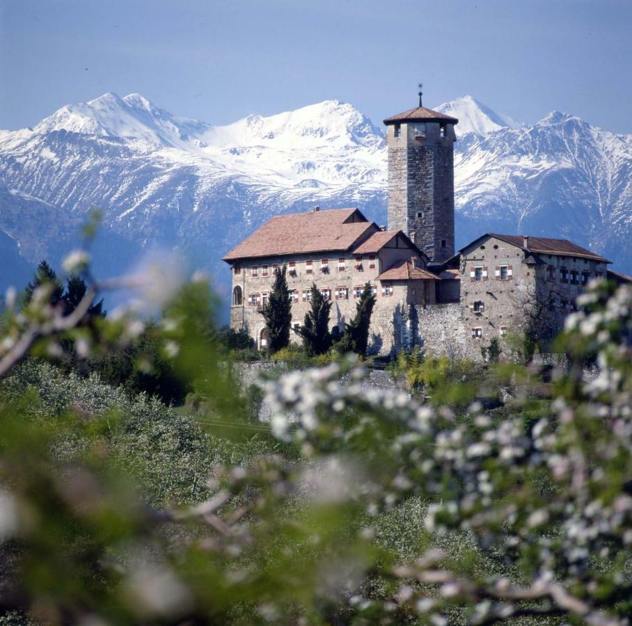 Appartamento Cinzia Dolomiti del Brenta Tassullo Esterno foto